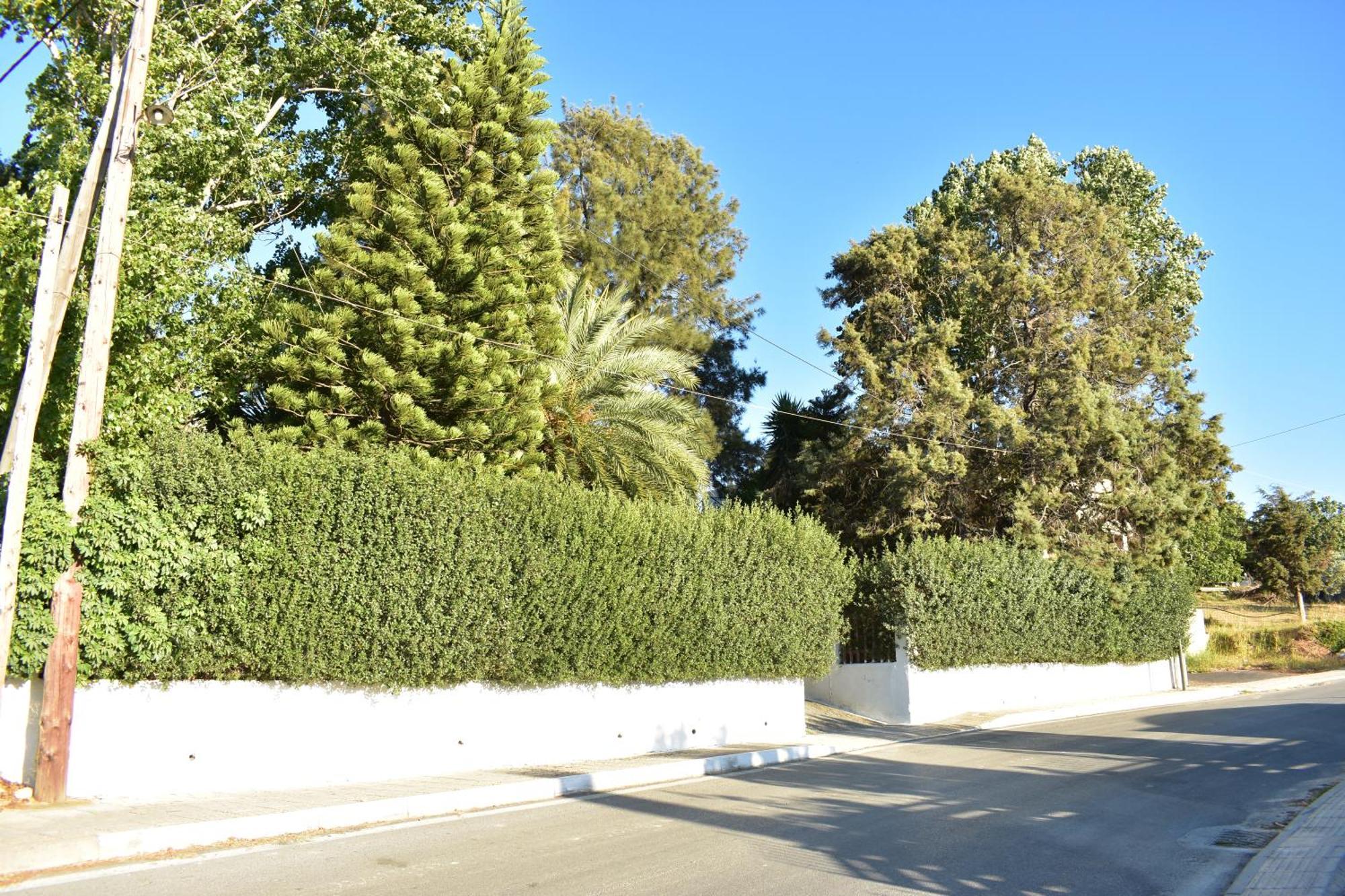 הוילה Kalloni  Νιrαsτεrο - The House In The Trees מראה חיצוני תמונה